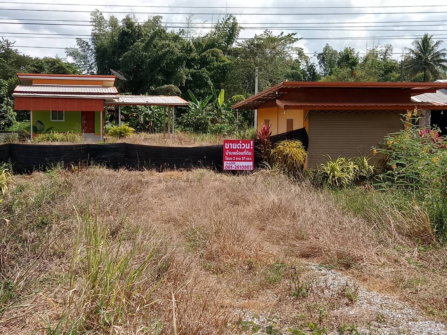 ขายที่ดินสวยทำเลดี เหมาะกับการค้าขาย จังหวัดเลย