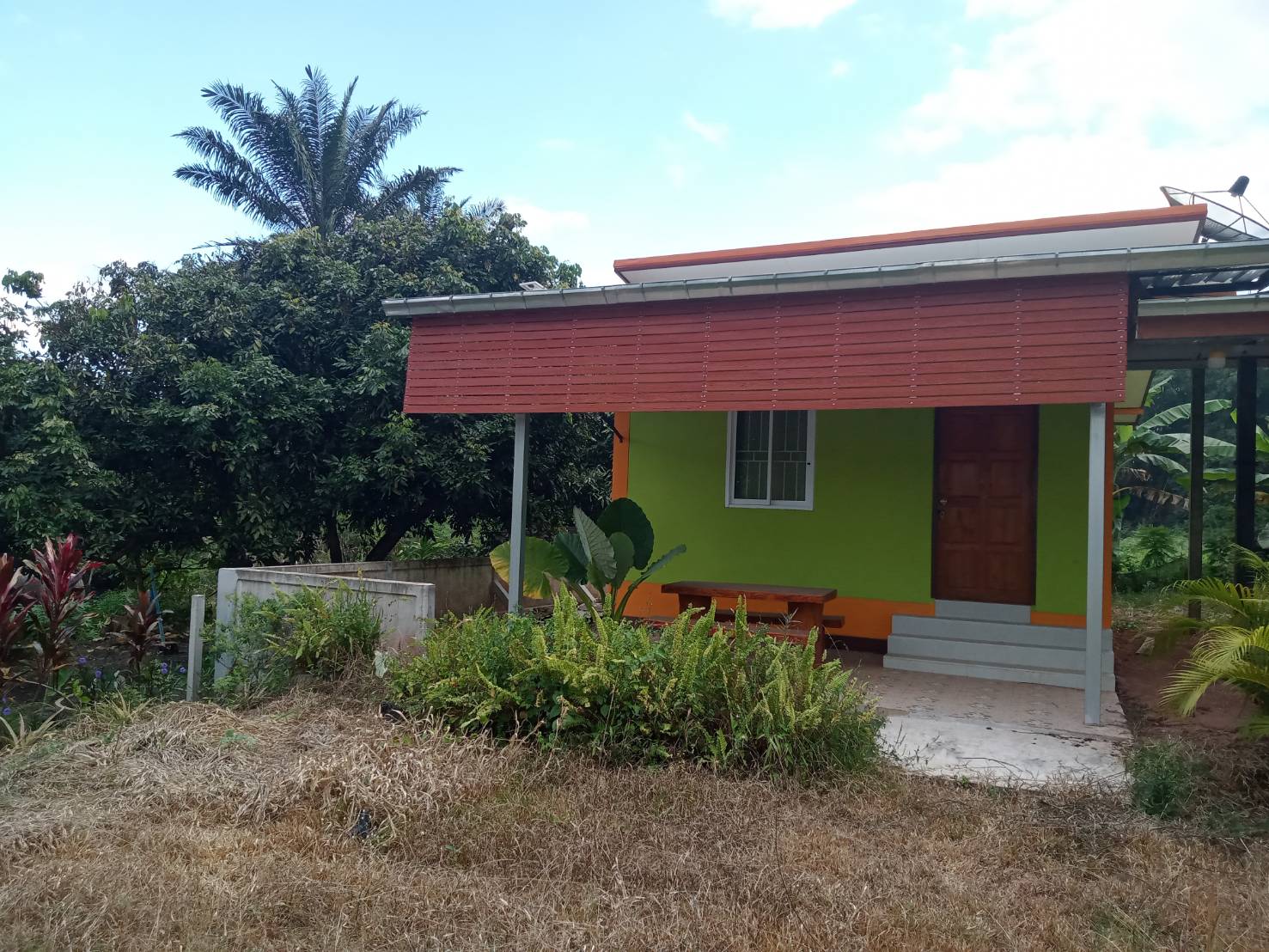 ขายที่ดินสวยทำเลดี เหมาะกับการค้าขาย จังหวัดเลย