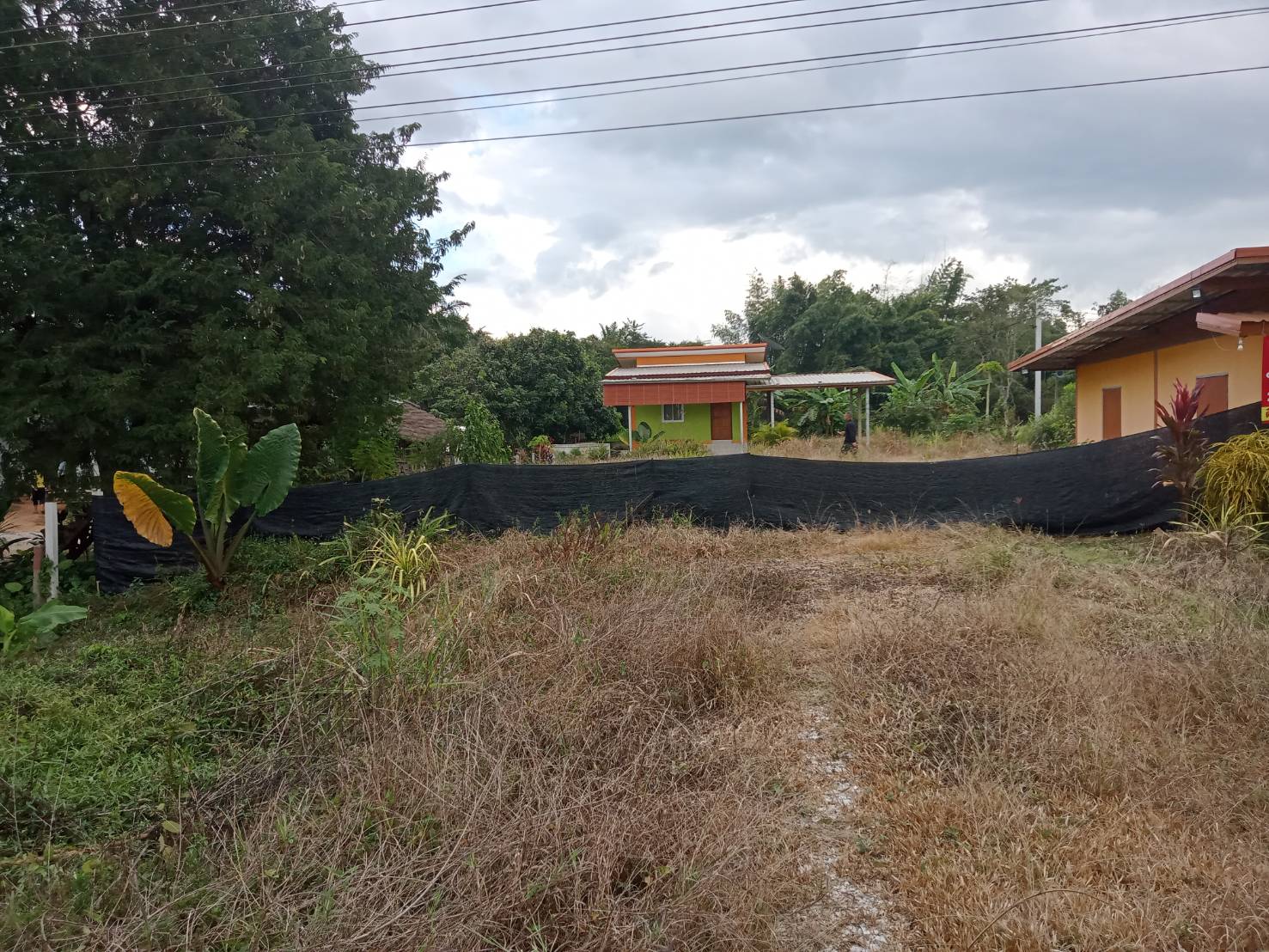 ขายที่ดินสวยทำเลดี เหมาะกับการค้าขาย จังหวัดเลย