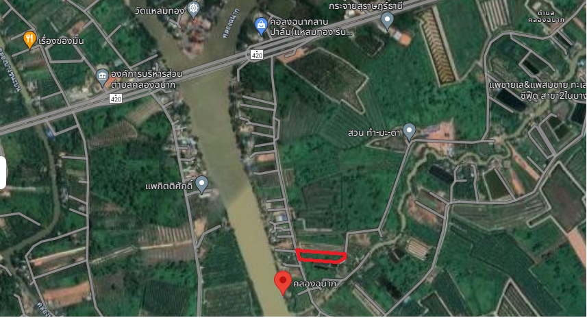 ขายที่ดินราคาถูก ด่วน! เนื้อที่ 3-1-7 ไร่ ตั้งอยู่ ต.คลองฉนาก อ.เมืองสุราษฎร์ธานี