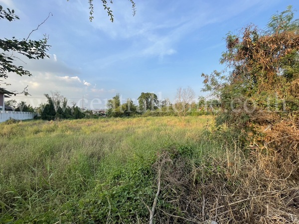 ที่ดิน 100 ตารางวา คลองสาม คลองหลวง ปทุมธานี