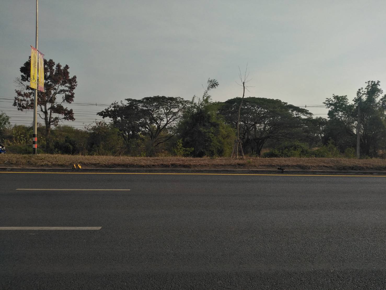 ขายที่ดิน8ไร่ ติดถนนมะลิวัลย์ สำหรับทำโชว์รูมรถยนต์ ห้างสรรพสินค้า อ.เมือง จ.ขอนแก่น