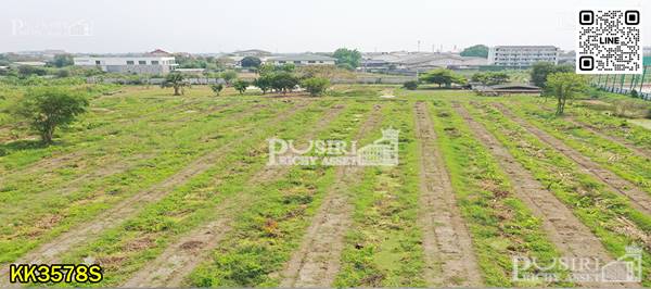 ขาย ที่สวยสร้างโกดัง/หมู่บ้าน เกือบ 12ไร่ หน้ากว้างพิเศษ 140 ม. ใกล้ ทั้งพุทธสาครและ เพชรเกษม ราคาดีงาม - KK3578S