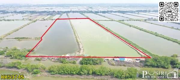 ขาย ที่ราคาพิเศษ สร้างโรงงานได้ใกล้พระราม2 บางขุนเทียน 35.5ไร่ ขอใบ รง.4 ได้ เทรลเลอร์เข้าสะดวก เส้นบางขุนเทียน - พันท้าย KK5374S