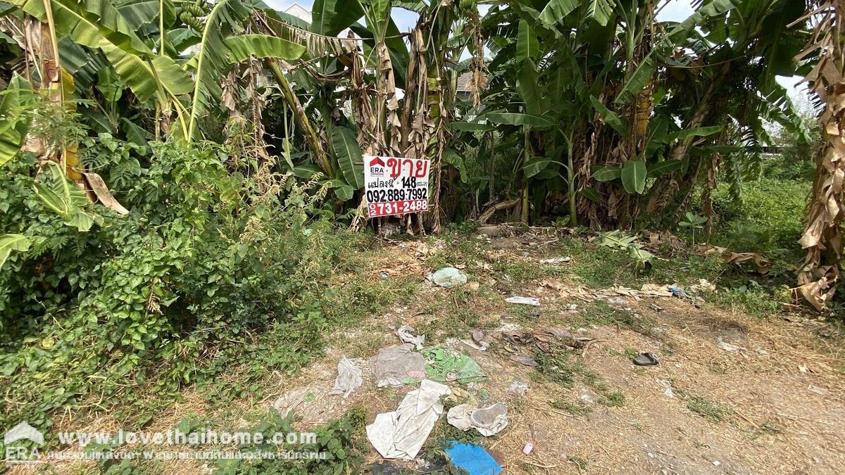 ขายที่ดิน ถนนกำแพงเพชร6 ซอย7 แยก 3-10 พื้นที่148ตรว. แปลงสวย หาไม่ได้อีกแล้ว เข้าซอยเพียง 200 เมตรเท่านั้น ใกล้สนามบินดอนเมือง