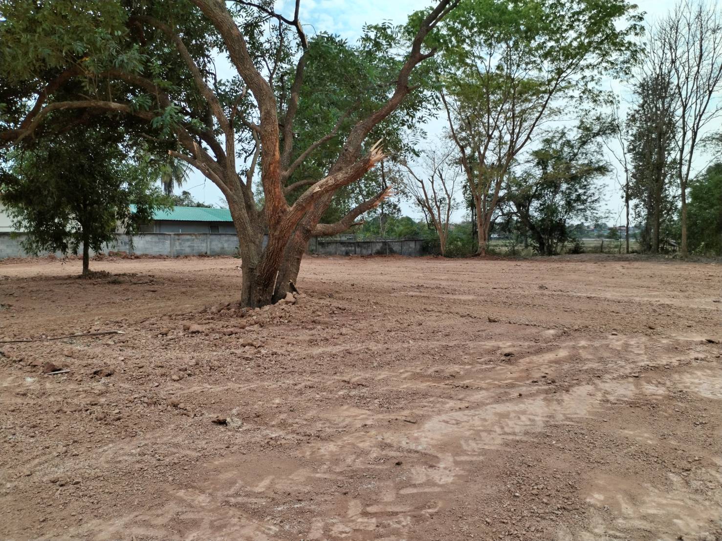 ขายที่ดิน 1-2-0 THB1,800,000 หนองบัวบาน หนองวัวซอ อุดรธานี