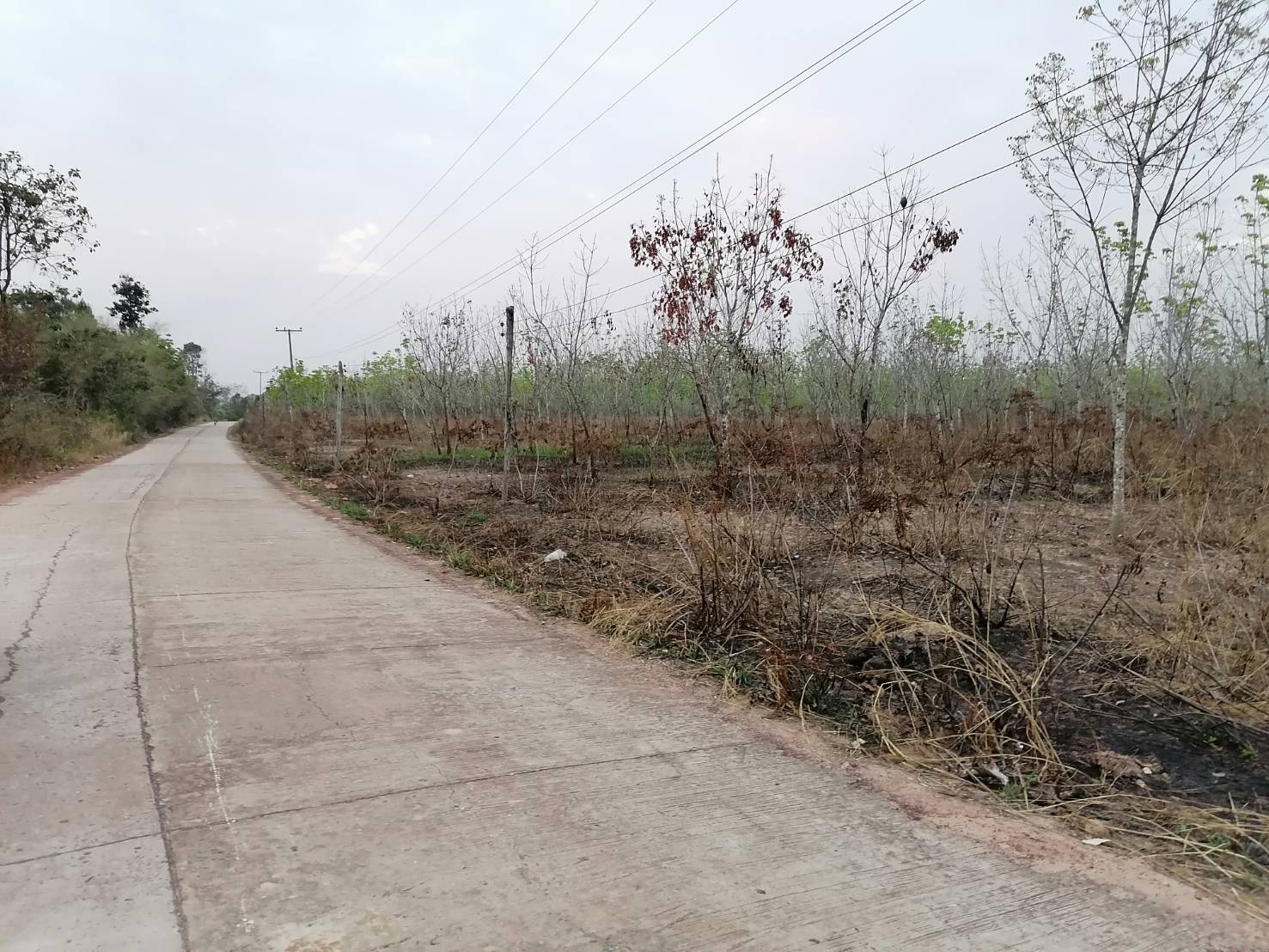 ขายที่ดิน 107-3-48 THB16,000,000  นาพู่ เพ็ญ อุดรธานี