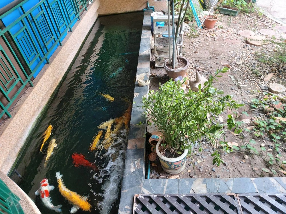 ขายบ้านเดี่ยว2ชั้น หมู่บ้านร่มรื่น เจ้าของทำธุรกิจอสังหาริมทรัพย์ ทำการก่อสร้างเองอย่างดีใช้วัสดุคุณภาพทั้งหมด