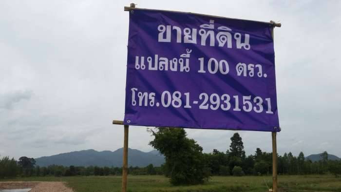 ขายที่ดินสวย 100 ตารางวา 
