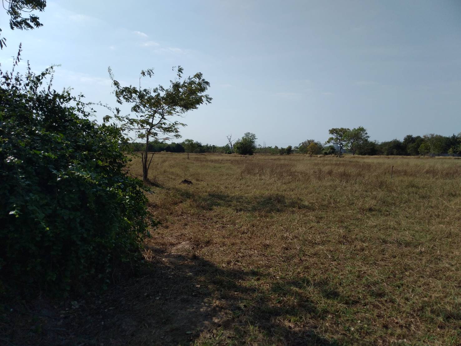 ขายที่ดิน 1-1-50 THB2,500,000 บ้านจั่น เมือง อุดรธานี