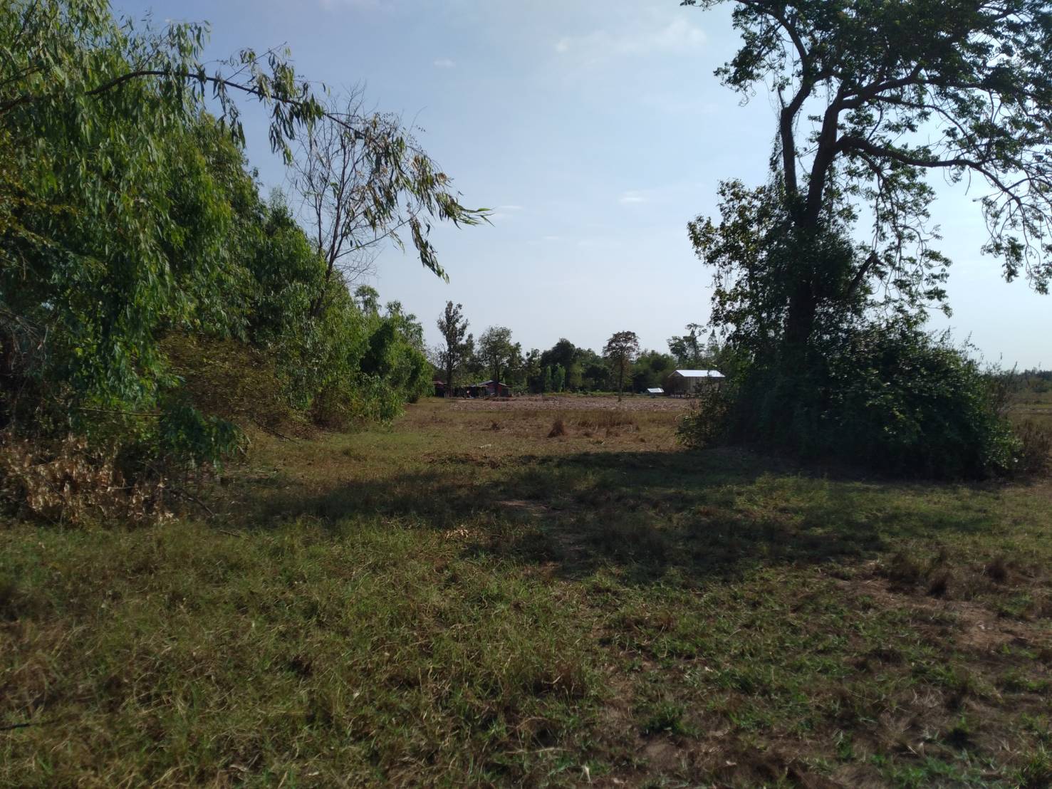 ขายที่ดิน 1-1-50 THB2,500,000 บ้านจั่น เมือง อุดรธานี