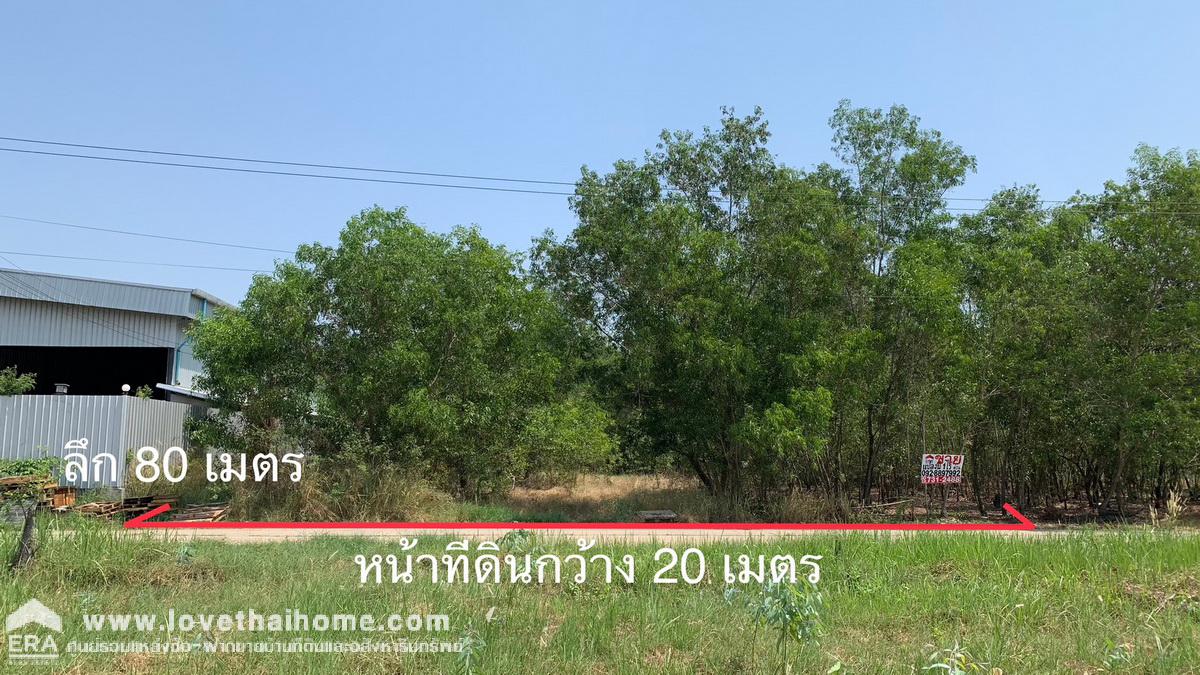 ขายที่ดิน ถนนคลองหลวง คลองสี่ ซอยหมู่บ้านรังสิต เลค แลนด์ พื้นที่1ไร่ ขายราคาใกล้เคียงกับประเมินกรมที่ดิน ใกล้สนามยิงปืนภูมิไพลิน