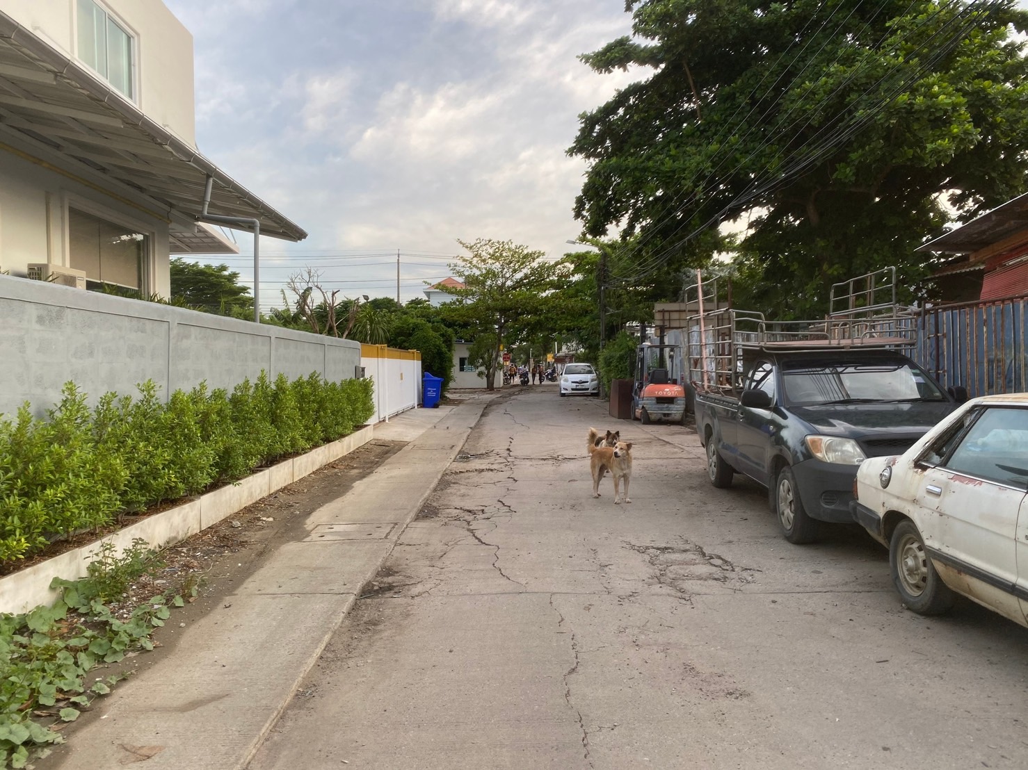 ให้เช่าที่ดินถมแล้ว 223 ตารางวา ซอยแบริ่ง 27 อำเภอเมืองสมุทรปราการ จังหวัดสมุทรปราการ 