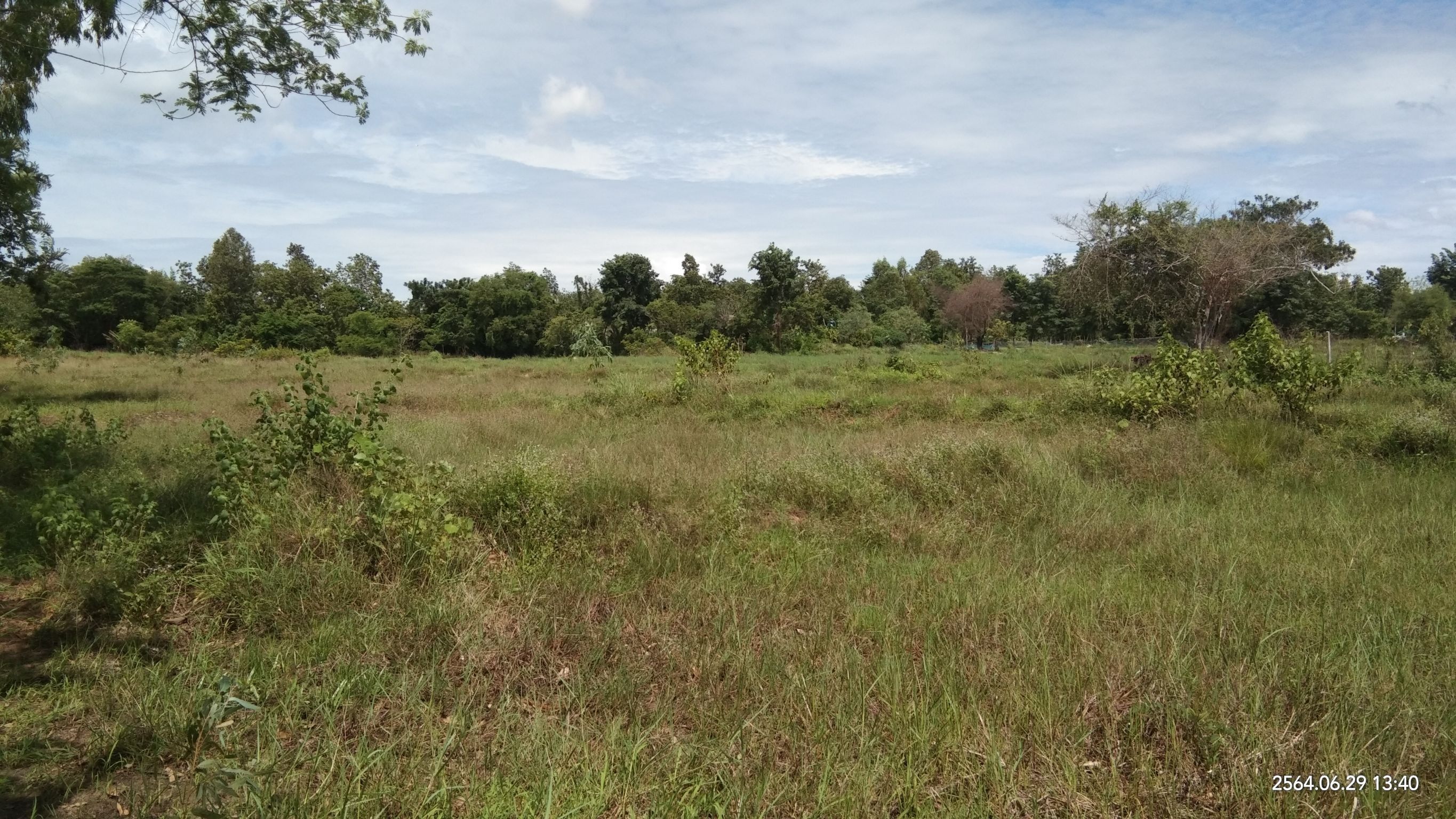 ขายที่ดิน 7-1-57 THB4,000,000 สามพร้าว เมือง อุดรธานี