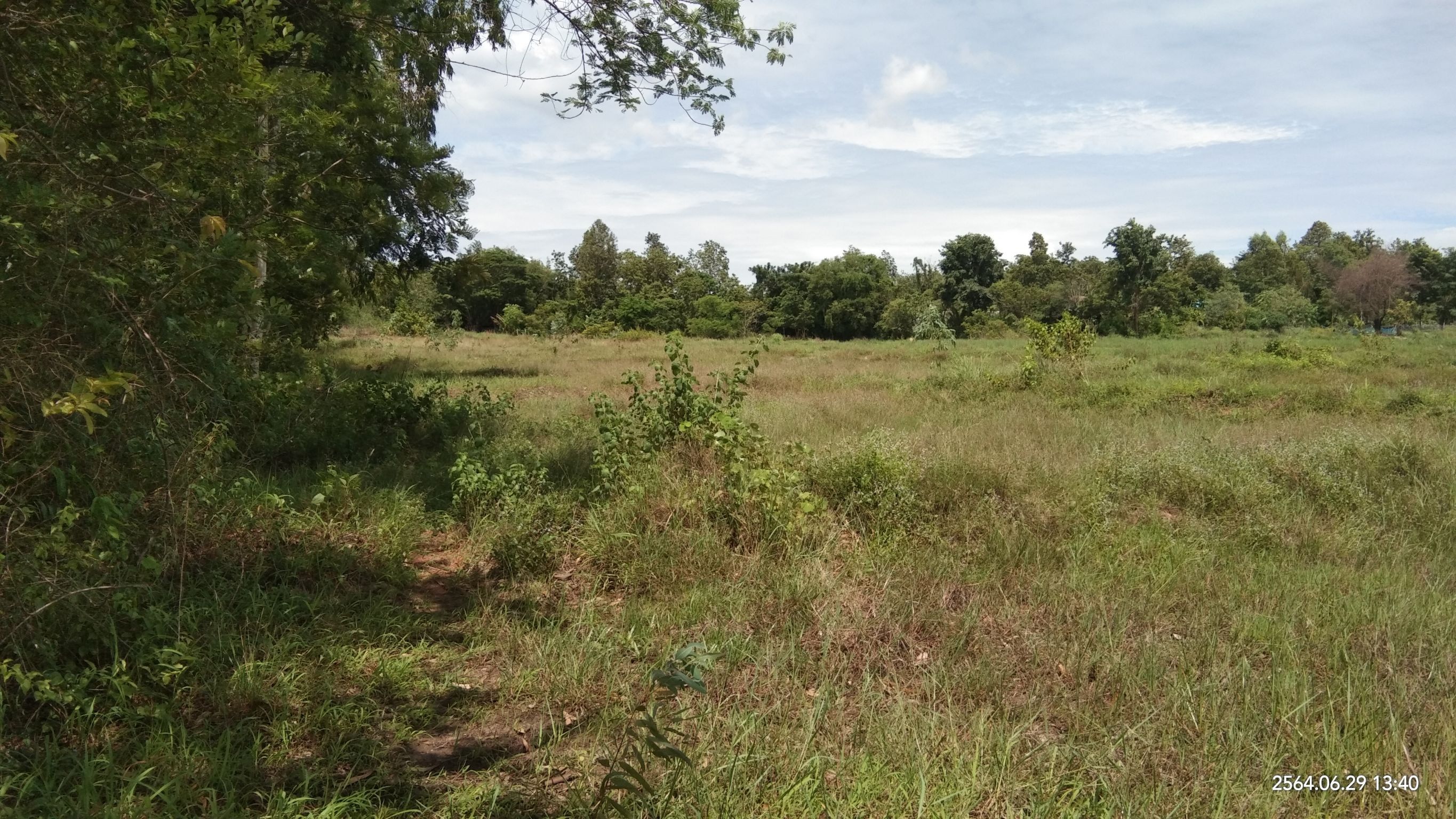 ขายที่ดิน 7-1-57 THB4,000,000 สามพร้าว เมือง อุดรธานี