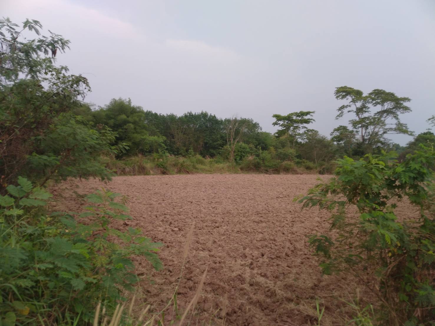 ขายที่ดิน 7-0-32 THB2,700,000 นิคมสงเคราะห์ เมือง อุดรธานี