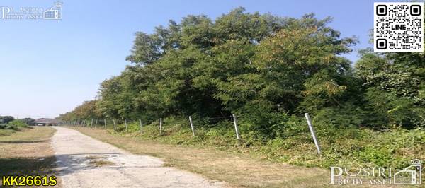 ขายที่ 69 ไร่เศษ หน้ากว้างจุใจ เเวดล้อมสถานที่สำคัญหลายเเห่ง เดินทางได้หลายเส้นทาง ถนนเอกชัย - KK2661S