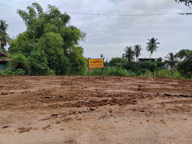 ขายที่ดินดี ร่มรื่น ใกล้แหล่งชุมชน บ้านท่าโพธิ์ เมืองเก่า พิจิตร