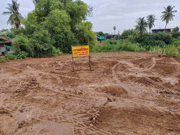 ขายที่ดินดี ร่มรื่น ใกล้แหล่งชุมชน บ้านท่าโพธิ์ เมืองเก่า พิจิตร