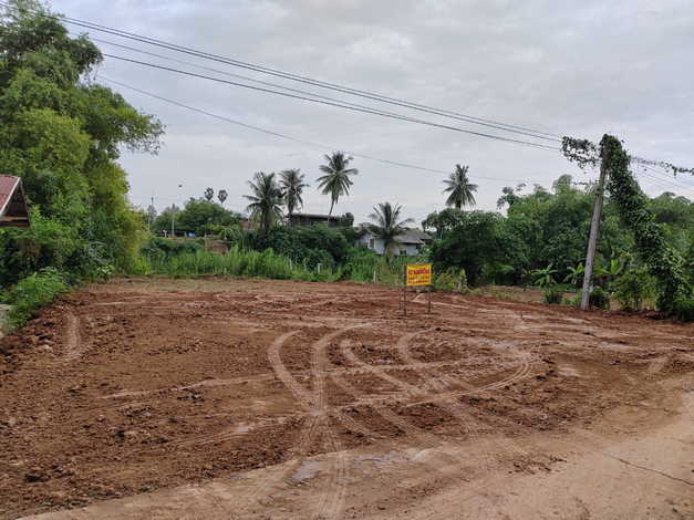 ขายที่ดินดี ร่มรื่น ใกล้แหล่งชุมชน บ้านท่าโพธิ์ เมืองเก่า พิจิตร