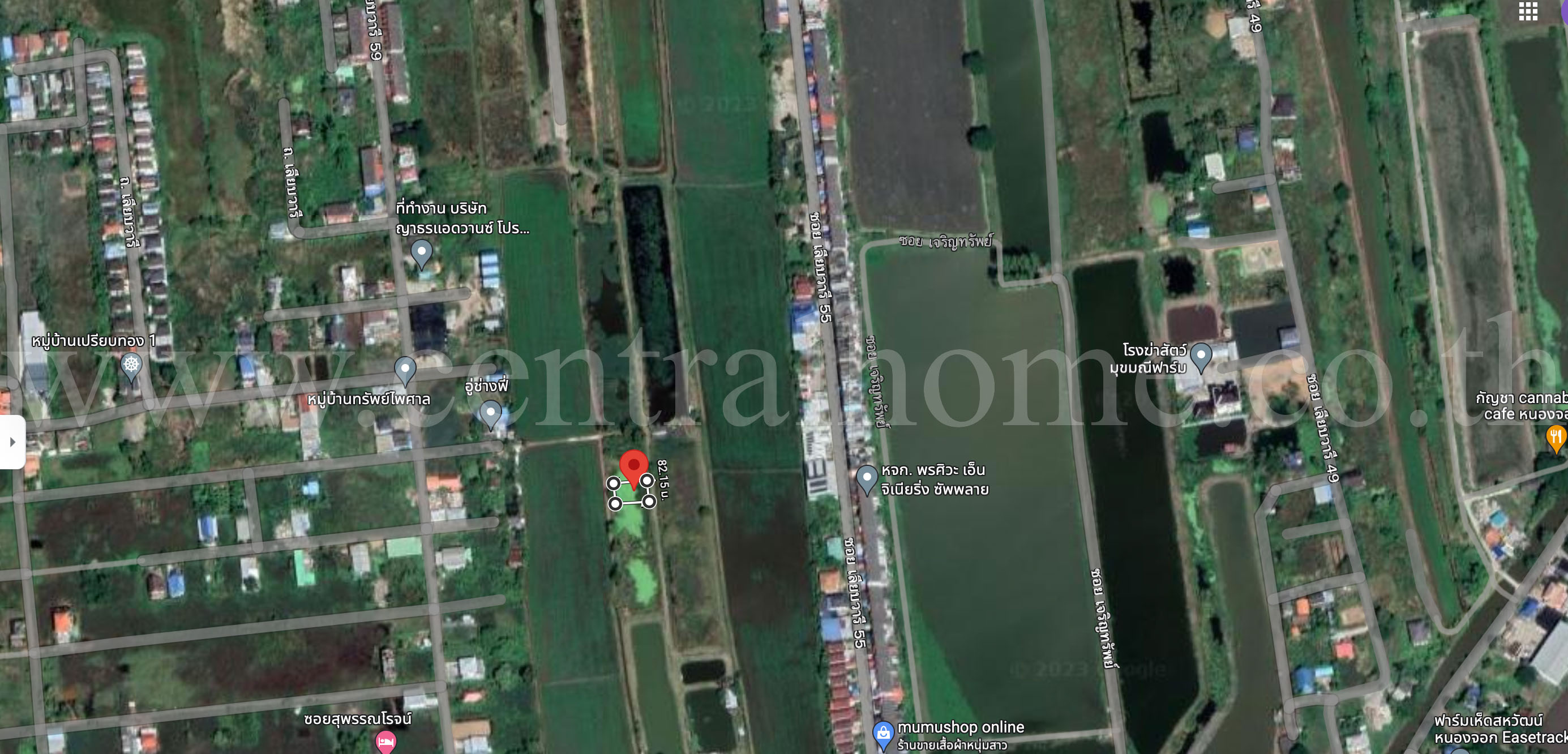 ที่ดิน 100 ตารางวา หนองจอก โคกแฝด