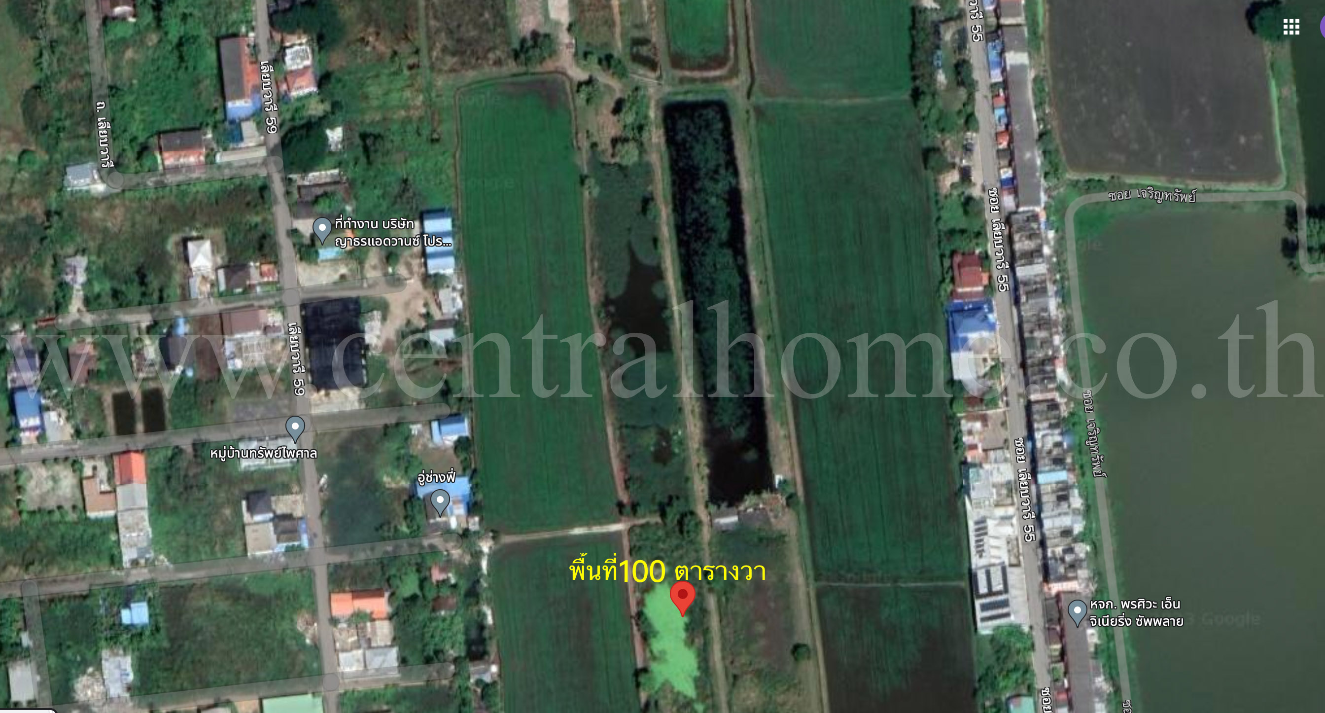 ที่ดิน 100 ตารางวา หนองจอก โคกแฝด