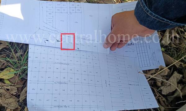 ที่ดิน 167 ตารางวา ป่าตาล ลพบุรี