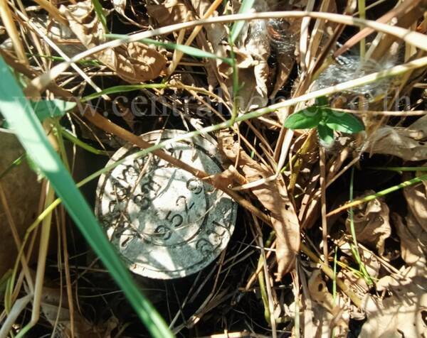 ที่ดิน 167 ตารางวา ป่าตาล ลพบุรี