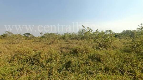 ที่ดิน 167 ตารางวา ป่าตาล ลพบุรี