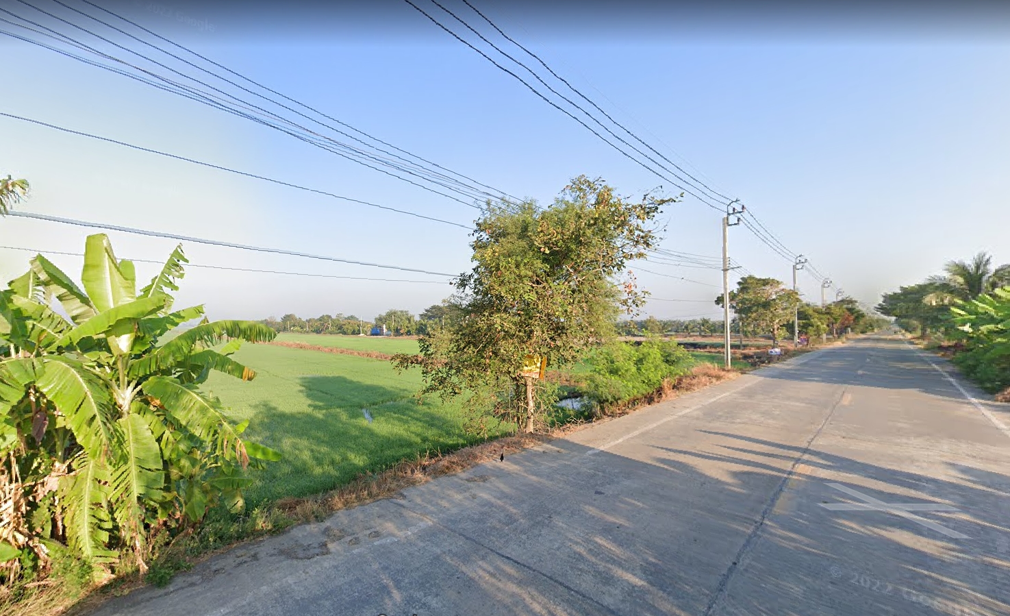 ✅ขายที่ดิน42ไร่  พื้นที่สีม่วง หน้ากว้าง 80ม. ถนนทางหลวงชนบท นบ.3015 ต.ไทรใหญ่ อ.ไทรน้อย นนทบุรี   ใก้ลวัดสโมสร ห่างจากถนน346 ปทุมธานี-บางเลน 5กม. ห่างจากถนน340 บางบัวทอง-สุพรรบุรี 6กม. ราคาไร่ละ 1.8ล้าน สนใจติดต่อ คุณศรี 094 8216 456  