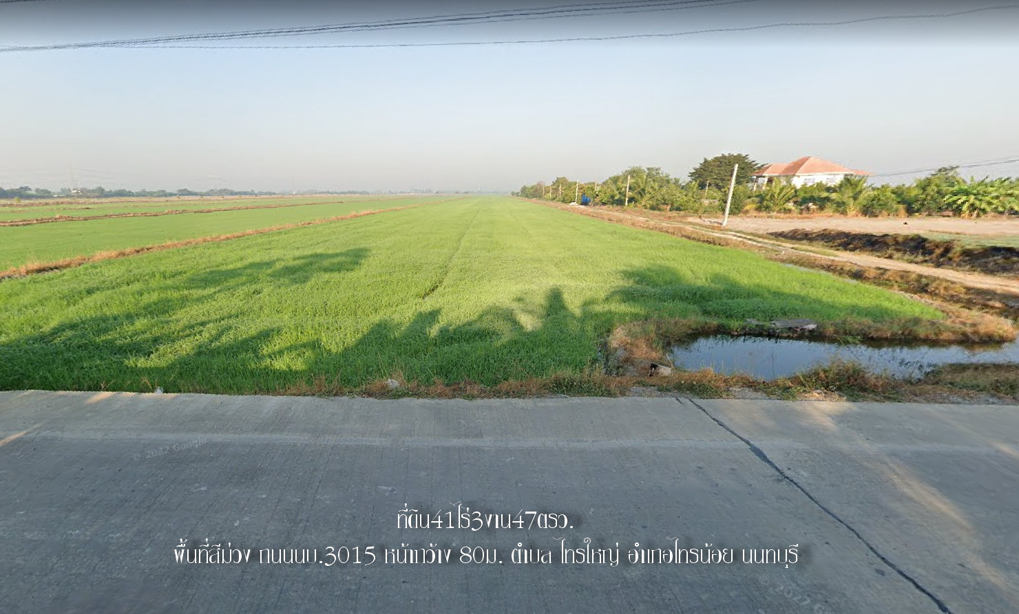 ✅ขายที่ดิน42ไร่  พื้นที่สีม่วง หน้ากว้าง 80ม. ถนนทางหลวงชนบท นบ.3015 ต.ไทรใหญ่ อ.ไทรน้อย นนทบุรี   ใก้ลวัดสโมสร ห่างจากถนน346 ปทุมธานี-บางเลน 5กม. ห่างจากถนน340 บางบัวทอง-สุพรรบุรี 6กม. ราคาไร่ละ 1.8ล้าน สนใจติดต่อ คุณศรี 094 8216 456  