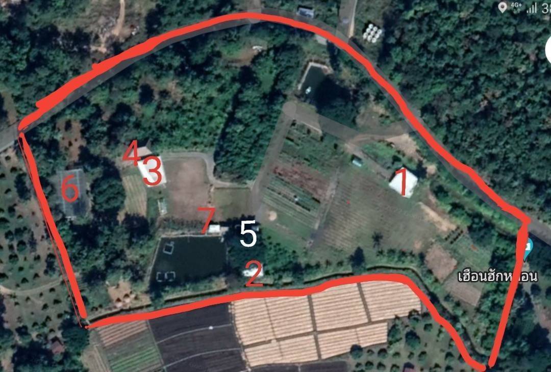 ให้เช่าที่ดินพร้อม กิจการ บริษัทไร่ผักเกษตรออแกนิค ได้มาตรฐานIFOAM จ.เชียงใหม่