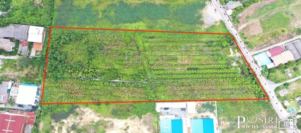 สร้างโรงงานได้ 13,000 ตรม. กับที่สีม่วงเกือบ 13ไร่ ฮวงจุ้ยดีหน้ากว้าง 94 ม. หันทิศใต้ รถเทรลเลอร์เข้า - ออกสะดวก ใกล้ถนนเศรษฐกิจเเละพุทธสาคร kk5113s