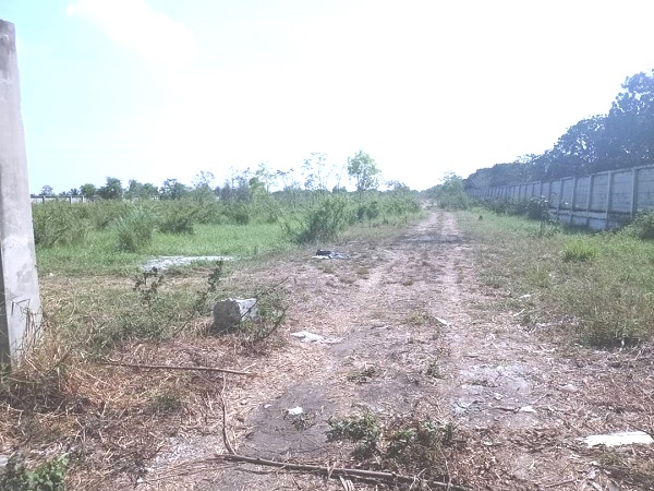 ขายที่ดินเปล่า 38 ไร่ 1 งาน 51 ถ.บางบัวทอง-สุพรรณบุรี 340  เหมาะกับการสร้างบ้านจัดสรร โกดัง โรงงาน หน้ากว้าง 70 เมตร ลึก 900 กว่าเมตร ที่ถมแล้วล้อมรั่วคอนกรีต น้ำไม่ท่วม เหมาะกับการสร้างบ้านจัดสรร โกดัง โรงงาน 