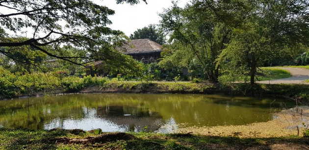 ขายที่ดินพร้อมสิ่งปลูกสร้าง วิวสวยเห็นภูเขา เงียบสงบ สะดวก ไม่ไกลชุมชน ติดลำน้ำคลองโศก อ.ปากช่อง จ.นครราชสีมา