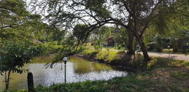 ขายที่ดินพร้อมสิ่งปลูกสร้าง วิวสวยเห็นภูเขา เงียบสงบ สะดวก ไม่ไกลชุมชน ติดลำน้ำคลองโศก อ.ปากช่อง จ.นครราชสีมา