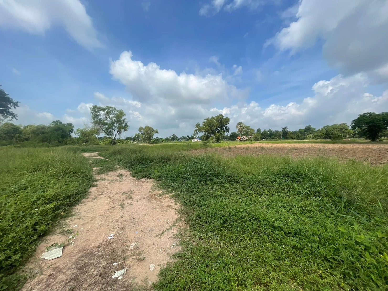 ขายที่ดิน หลังนิคมอุตสาหกรรมหนองแค จ.สระบุรี ( เจ้าของขายเอง )