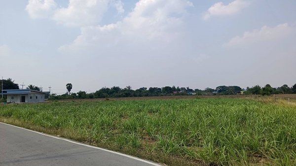 ขายที่ดินเปล่าถมแล้ว กำแพงแสน นครปฐม ติดถนนทางหลวงชนบท 3040