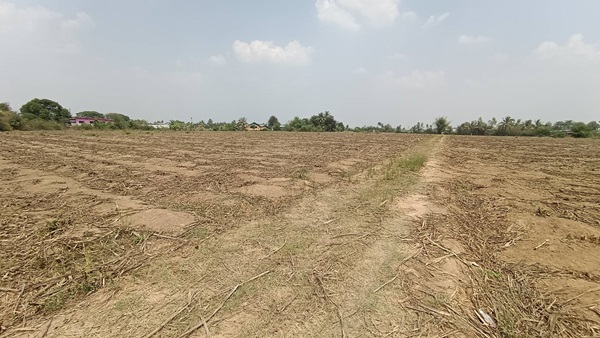 ขายที่ดินเปล่าถมแล้ว กำแพงแสน นครปฐม ติดถนนทางหลวงชนบท 3040
