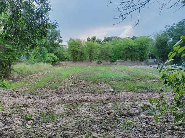 ขายที่ดินตัวเมืองชัยภูมิ เกือบ 19 ไร่ บรรยากาศดี ที่สวย ใกล้แหล่งสาธารณูปโภคทั้งห้าง โรงพยาบาล (ถมที่แล้วบางส่วน)