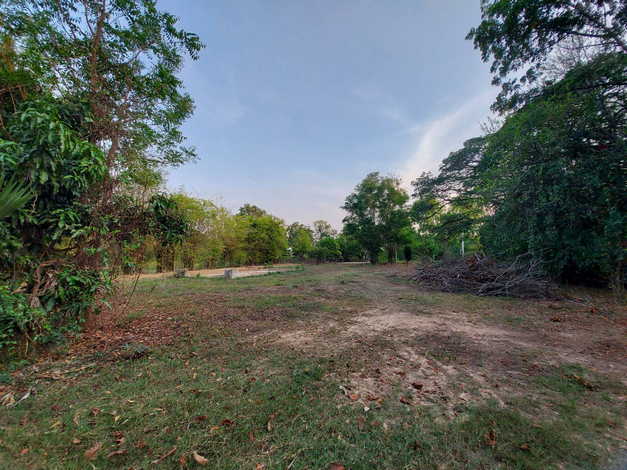 ขายที่ดินตัวเมืองชัยภูมิ เกือบ 19 ไร่ บรรยากาศดี ที่สวย ใกล้แหล่งสาธารณูปโภคทั้งห้าง โรงพยาบาล (ถมที่แล้วบางส่วน)