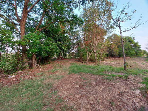 ขายที่ดินตัวเมืองชัยภูมิ เกือบ 19 ไร่ บรรยากาศดี ที่สวย ใกล้แหล่งสาธารณูปโภคทั้งห้าง โรงพยาบาล (ถมที่แล้วบางส่วน)