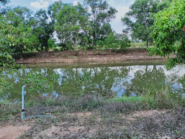 ขายที่ดินตัวเมืองชัยภูมิ เกือบ 19 ไร่ บรรยากาศดี ที่สวย ใกล้แหล่งสาธารณูปโภคทั้งห้าง โรงพยาบาล (ถมที่แล้วบางส่วน)