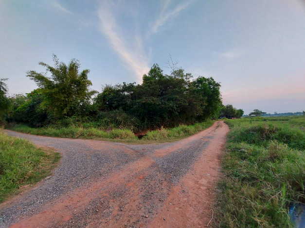 ขายที่ดินตัวเมืองชัยภูมิ เกือบ 19 ไร่ บรรยากาศดี ที่สวย ใกล้แหล่งสาธารณูปโภคทั้งห้าง โรงพยาบาล (ถมที่แล้วบางส่วน)