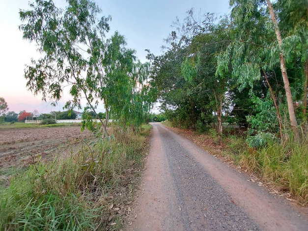 ขายที่ดินตัวเมืองชัยภูมิ เกือบ 19 ไร่ บรรยากาศดี ที่สวย ใกล้แหล่งสาธารณูปโภคทั้งห้าง โรงพยาบาล (ถมที่แล้วบางส่วน)
