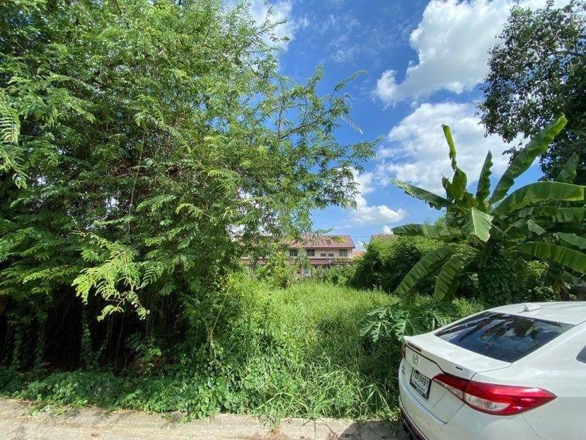 ขายที่ดิน 100 ตร.ว. ถูกที่สุดในย่าน ทำเลดีใกล้แหล่งชุมชน คลองสอง รังสิต-นครนายก