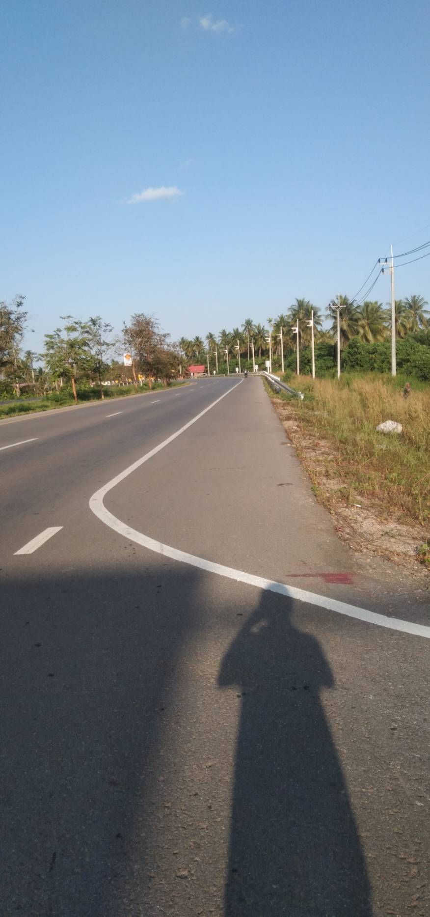 ขายที่ดิน 20 ไร่ บางไทร สุราษฎร์ธานี (เจ้าของขายเอง)