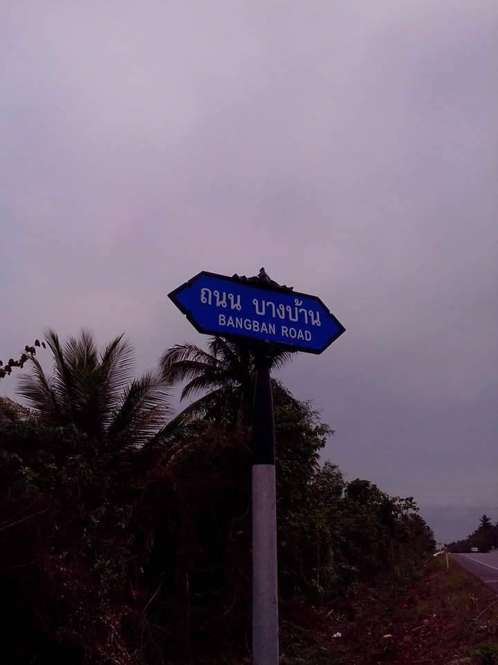 ขายที่ดิน 20 ไร่ บางไทร สุราษฎร์ธานี (เจ้าของขายเอง)