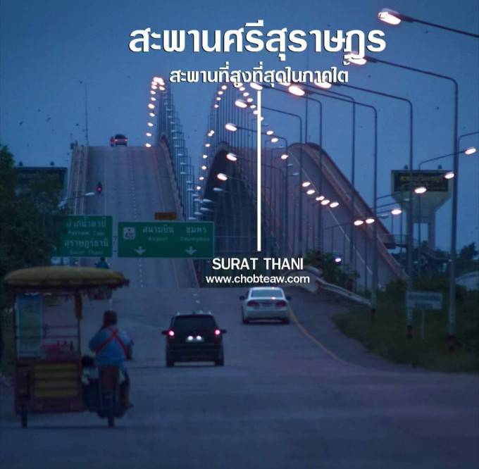 ขายที่ดิน 20 ไร่ บางไทร สุราษฎร์ธานี (เจ้าของขายเอง)