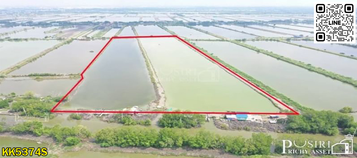 ราคาพิเศษ ที่สร้างโรงงานได้ใกล้พระราม 2 บางขุนเทียน 35.5 ไร่ ขอใบ รง.4 ได้ เทรลเลอร์เข้าสะดวก เส้นบางขุนเทียน  พันท้าย KK5374S